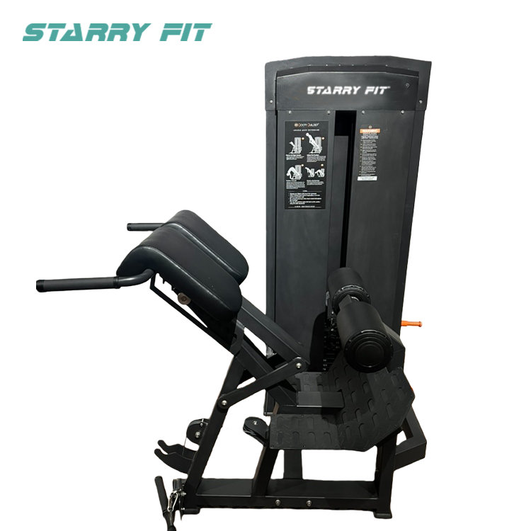 Selectorized Back Extension<br />BB-15 Selectorized Back Extension<br />BB-15